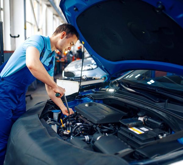 worker-in-uniform-checks-engine-car-service-small.jpg